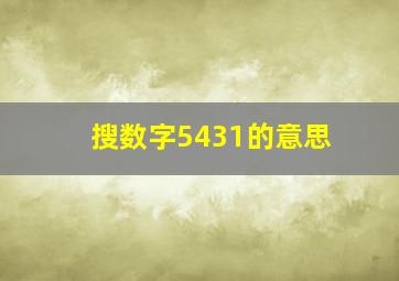 搜数字5431的意思