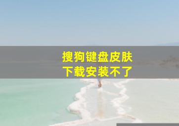 搜狗键盘皮肤下载安装不了