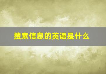 搜索信息的英语是什么