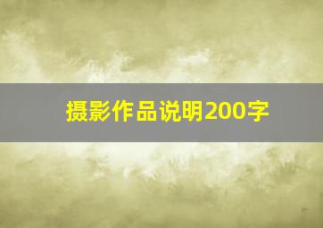 摄影作品说明200字