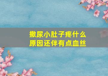 撒尿小肚子疼什么原因还伴有点血丝