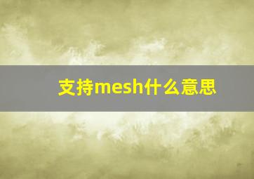 支持mesh什么意思