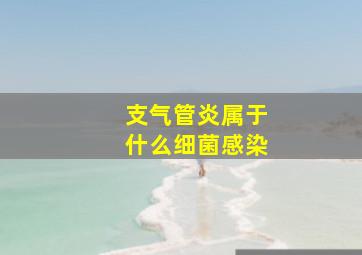 支气管炎属于什么细菌感染