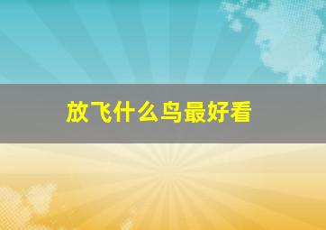 放飞什么鸟最好看