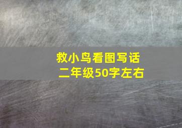 救小鸟看图写话二年级50字左右