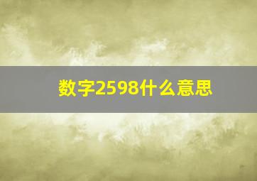 数字2598什么意思