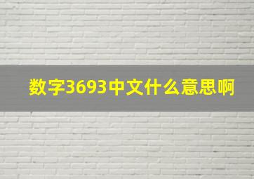 数字3693中文什么意思啊