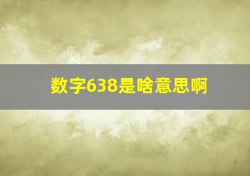 数字638是啥意思啊