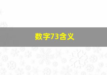 数字73含义