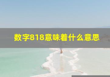 数字818意味着什么意思