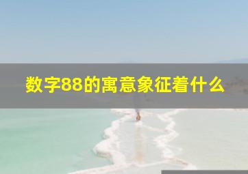 数字88的寓意象征着什么