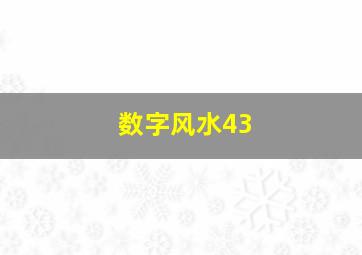 数字风水43