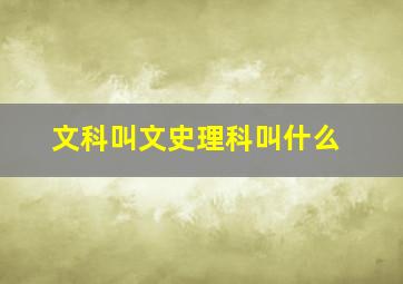 文科叫文史理科叫什么