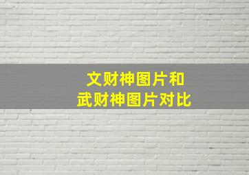 文财神图片和武财神图片对比