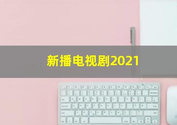 新播电视剧2021