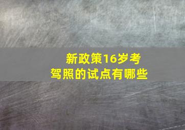 新政策16岁考驾照的试点有哪些