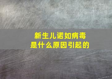 新生儿诺如病毒是什么原因引起的