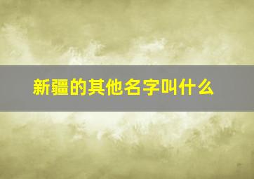 新疆的其他名字叫什么