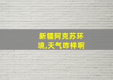 新疆阿克苏环境,天气咋样啊