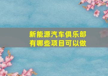 新能源汽车俱乐部有哪些项目可以做