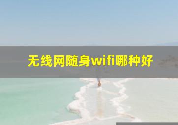 无线网随身wifi哪种好