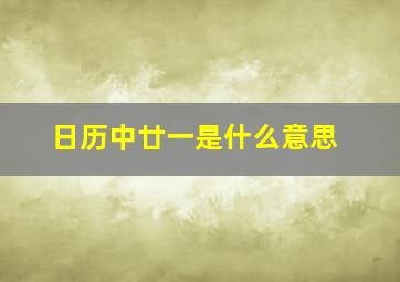 日历中廿一是什么意思