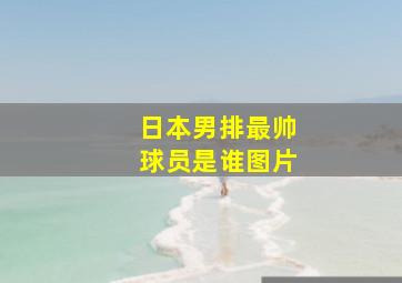 日本男排最帅球员是谁图片