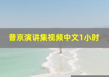 普京演讲集视频中文1小时