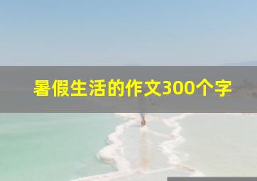 暑假生活的作文300个字