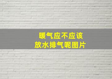 暖气应不应该放水排气呢图片