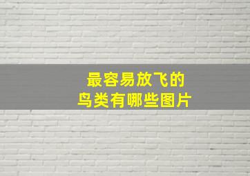 最容易放飞的鸟类有哪些图片