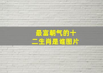 最富朝气的十二生肖是谁图片