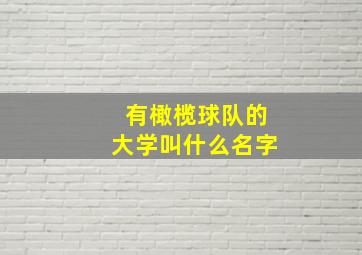 有橄榄球队的大学叫什么名字