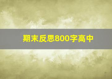 期末反思800字高中