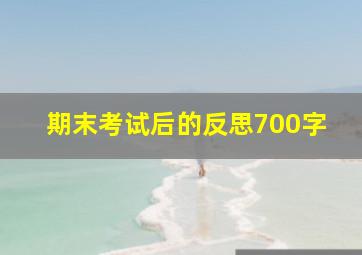 期末考试后的反思700字