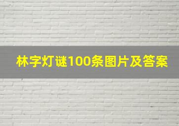 林字灯谜100条图片及答案