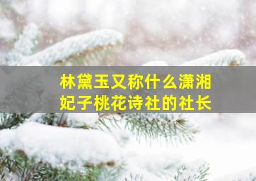 林黛玉又称什么潇湘妃子桃花诗社的社长