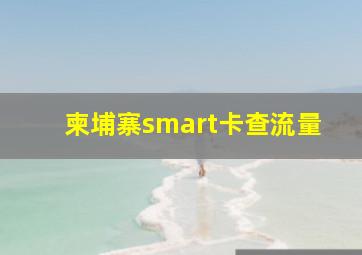 柬埔寨smart卡查流量