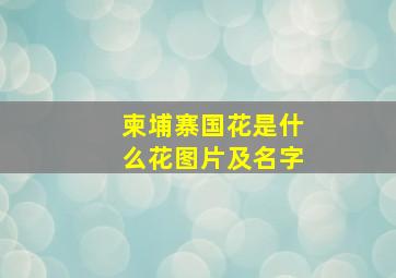 柬埔寨国花是什么花图片及名字