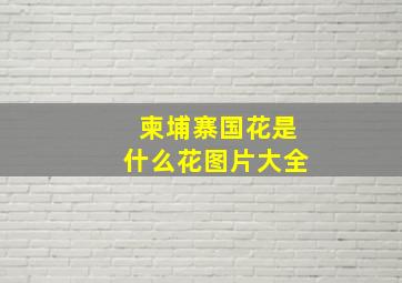 柬埔寨国花是什么花图片大全