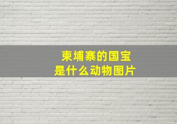 柬埔寨的国宝是什么动物图片