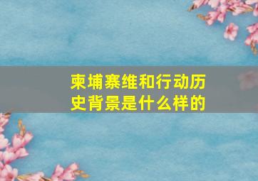 柬埔寨维和行动历史背景是什么样的