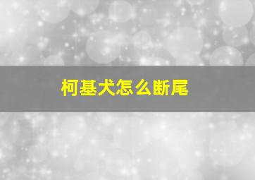 柯基犬怎么断尾