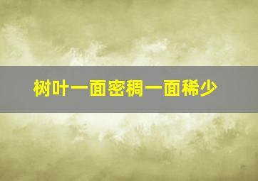 树叶一面密稠一面稀少