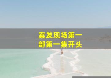 案发现场第一部第一集开头