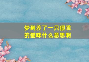 梦到养了一只很乖的猫咪什么意思啊