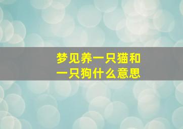 梦见养一只猫和一只狗什么意思