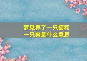 梦见养了一只猫和一只狗是什么意思