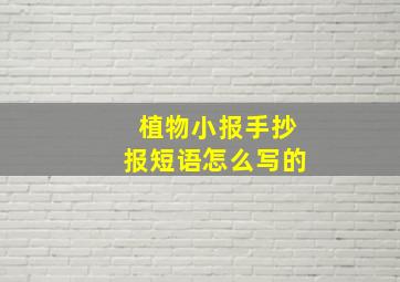 植物小报手抄报短语怎么写的