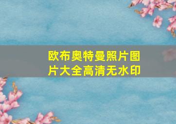 欧布奥特曼照片图片大全高清无水印